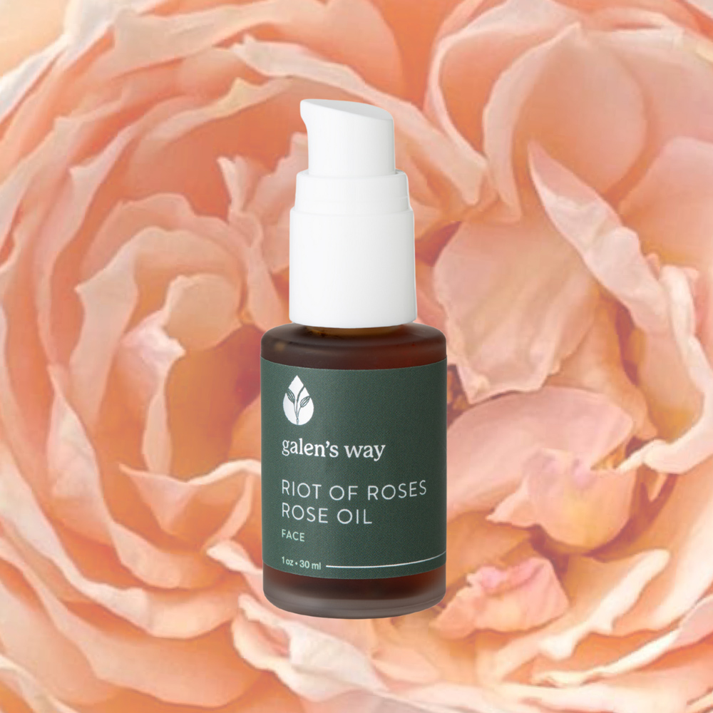 A Riot of Roses Face Oil - Image 4